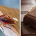 Yuck! Here’s How Many Insects You're Eating Every Year