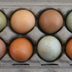 10 “Facts” About Eggs That Just Aren’t True