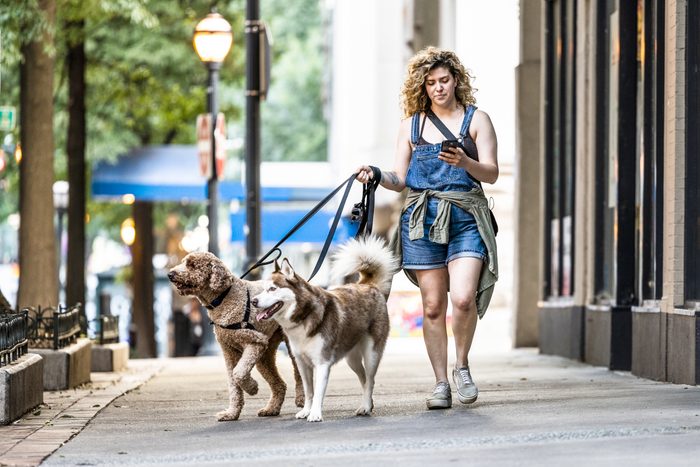 Common Dog Walking Injury caused by Walking Dogs And Using Smartphone